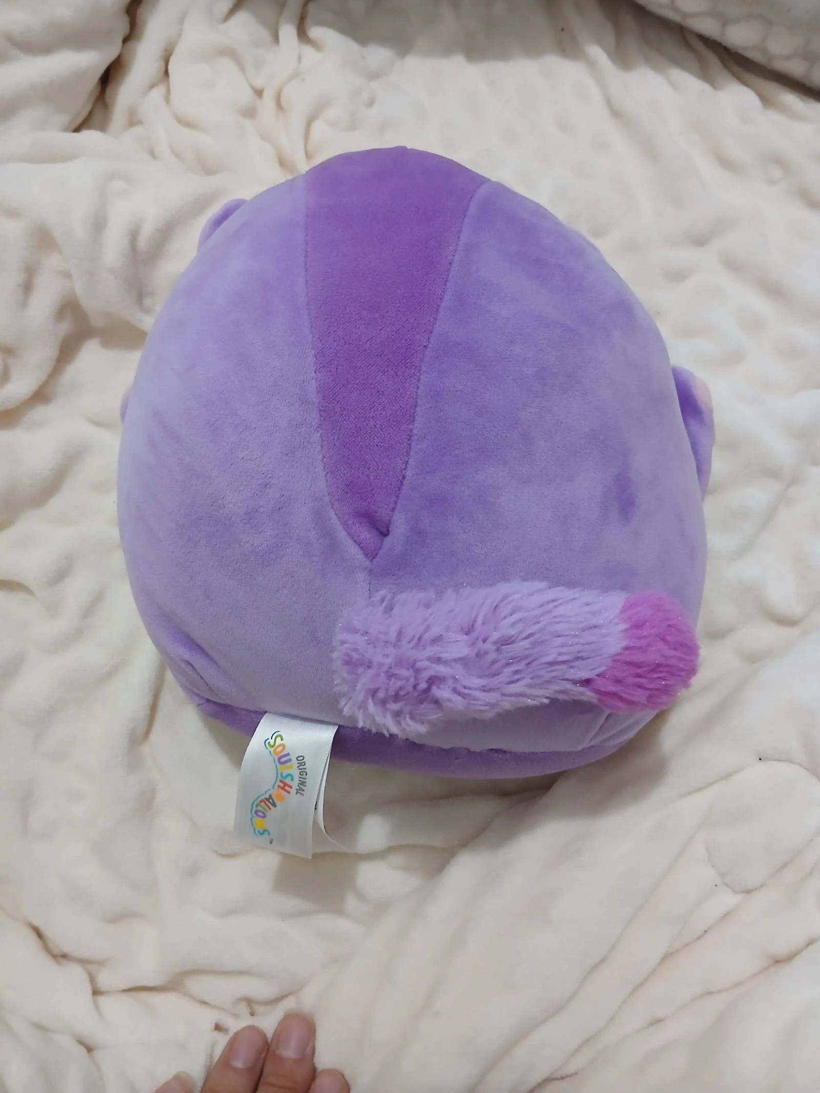 Squishmallow pluche vliegende eekhoorn – photo 2
